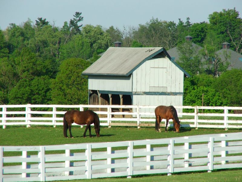 Equine Fence Installation in South Houston, TX